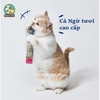 [Gói 20 thanh 14g] Súp thưởng Nutri Plan Stick cho mèo 14gx20