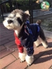 Áo Hoodie Cá Mập Cho Chó Mèo