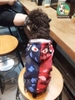 Áo Hoodie Cá Mập Cho Chó Mèo