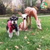 Áo Hoodie Cá Mập Cho Chó Mèo