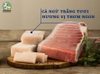 Súp thưởng Nutri Plan Stick cho mèo 14g
