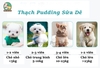 Thạch Pudding sữa dê chó chó, mèo