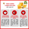Thức ăn - Hạt cho mèo mọi lứa tuổi Today's Dinner All Life Stage 1kg