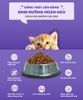 Thức ăn - Hạt cho mèo con dưới 12 tháng tuổi Today's Dinner Kitten 1kg