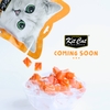 Snack thưởng sấy lạnh Cao cấp KITCAT FREEZE BITES GÓI cho mèo 15gr