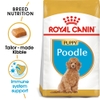 Thức ăn hạt dành riêng cho Poodle - Royal Canin Poodle Puppy