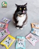 Snack thưởng sấy lạnh Cao cấp KITCAT FREEZE BITES GÓI cho mèo 15gr