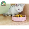 Hạt Teb Mister Donut cao cấp cho mèo T1 Kitten & Mother Cat - T2 Mèo Mọi Lứa Tuổi