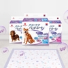 Thảm lót vệ sinh Honey Care Deluxe cho chó