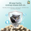 Thức Ăn Hạt Macaron D10 - Dành cho mèo mọi lứa tuổi với 40% Protein - 90% Thịt & Dầu cá