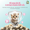 Thức Ăn Hạt Cho Mèo PetQ D5 - Dành cho Mèo Con với hơn 34% Protein và 8,9% sữa dê