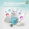 Sốt thưởng sữa dê cho Mèo PetQ