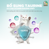 Pate Sữa Dê Cho Mèo PetQ 70g mix vị Gà, Cá Hồi, Thanh Cua, Cá Ngừ, Sò Điệp