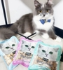 Snack thưởng sấy lạnh Cao cấp KITCAT FREEZE BITES GÓI cho mèo 15gr