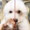 Khăn ướt Purry vệ sinh mắt và tai cho Chó Mèo