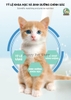 Catnip Thanh Cho Mèo Mix Thịt Gà Tiêu Búi Lông CZM - Gói 6 thanh