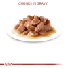 Pate Royal Canin Urinary Feline Care cho Mèo trưởng thành hỗ trợ tiết niệu 85g