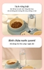 Bát ăn 3 ngăn mèo cute cho chó mèo kèm bình đựng nước tự động 500ml