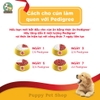 Thức Ăn Cho Chó Con Pedigree Vị Gà, Trứng Và Sữa