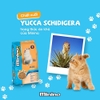 Thức ăn hạt cho Mèo mọi lứa tuổi Minino Yum