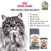 Thức ăn cho Mèo chăm sóc da & lông - Royal Canin Hair & Skin