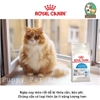 Hạt Royal Canin Indoor 27 cho Mèo trưởng thành trong nhà trên 12 tháng tuổi