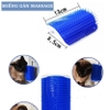 Lược góc matxa cho Mèo