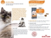 Hạt Royal Canin Hair & Skin cho Mèo chăm sóc da & lông