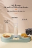Bát ăn 3 ngăn mèo cute cho chó mèo kèm bình đựng nước tự động 500ml