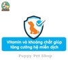 Thức ăn cho chó trưởng thành Pedigree Adult vị GÀ RAU CỦ và BÒ RAU CỦ