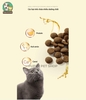 Hạt Teb Mister Donut cao cấp cho mèo T1 Kitten & Mother Cat - T2 Mèo Mọi Lứa Tuổi