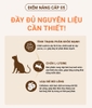 Thức ăn hạt hữu cơ ANF 6Free cho Mèo con - ANF Cat Indoor Kitten