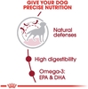Hạt Royal Canin Medium Adult cho dòng chó nhỡ trưởng thành 10kg