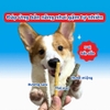 Que dai da bò hương sữa Doggyman 120g