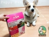 Thức ăn hạt mềm cho chó - Dr.Soft Duck Grain Free 