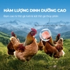 Pate Faenbei dạng sữa lắc vị thịt gà cho mèo mọi độ tuổi Ngon miệng, Dinh dưỡng cao 85g - Vị Gà