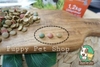 Thức ăn hạt mềm cho mọi giống Chó trên 2 tháng tuổi - Dr Soft Lamb All Breed - Vị Cừu