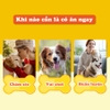 Bánh Quy Sữa Cho Chó Doggyman 180g