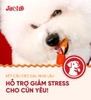 Snack Jireho Thịt xiên que 3 vị Gà Vịt Heo 96g