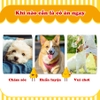 Que gặm Doggyman cho chó 120g