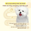 Pate sốt kem cho chó Doggyman 70g