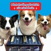 Que dai da bò hương sữa Doggyman 120g