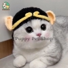 Mũ len cho chó mèo
