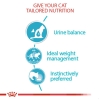 Pate Royal Canin Urinary Feline Care cho Mèo trưởng thành hỗ trợ tiết niệu 85g