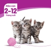 Thức ăn hạt khô cho mèo nhỏ Whiskas Junior