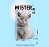 Hạt Teb Mister Donut cao cấp cho mèo T1 Kitten & Mother Cat - T2 Mèo Mọi Lứa Tuổi