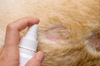 🐾ALKIN FABRICIL – DUNG DỊCH XỊT ĐẶC TRỊ VIÊM DA CHÓ MÈO TỐT NHẤT💦