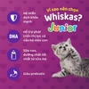 Thức ăn hạt khô cho mèo nhỏ Whiskas Junior