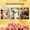 Viên - Que gà nướng mềm SAYA Doggyman 100g