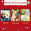 Que cuốn thịt gà Doggyman